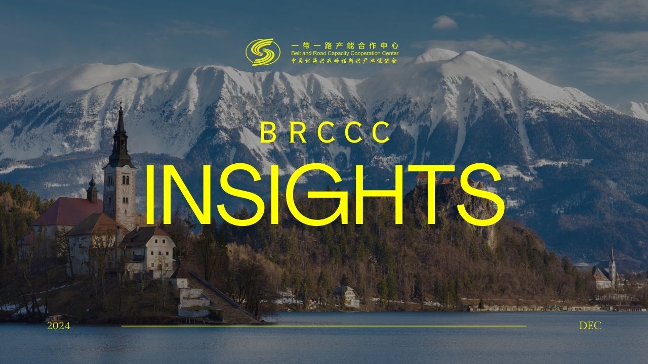 中国与中亚经济合作的未来：2026年机遇与风险分析